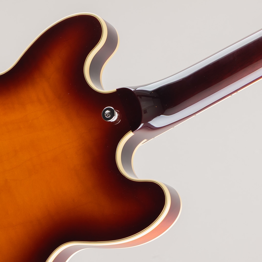 MSA-SP / Antique Sunburst