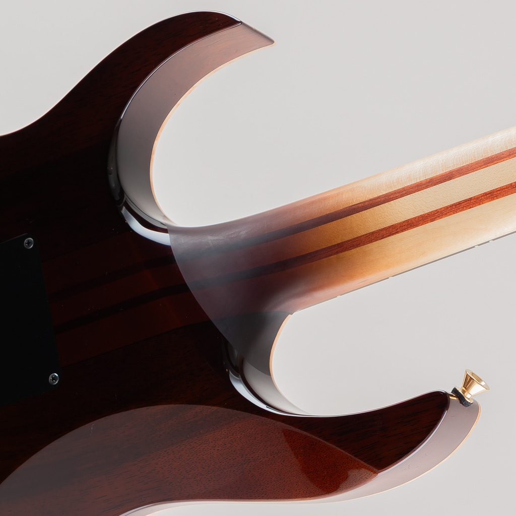 のえみりページ★45 IV1RG: エレキギター｜三木楽器公式通販サイト