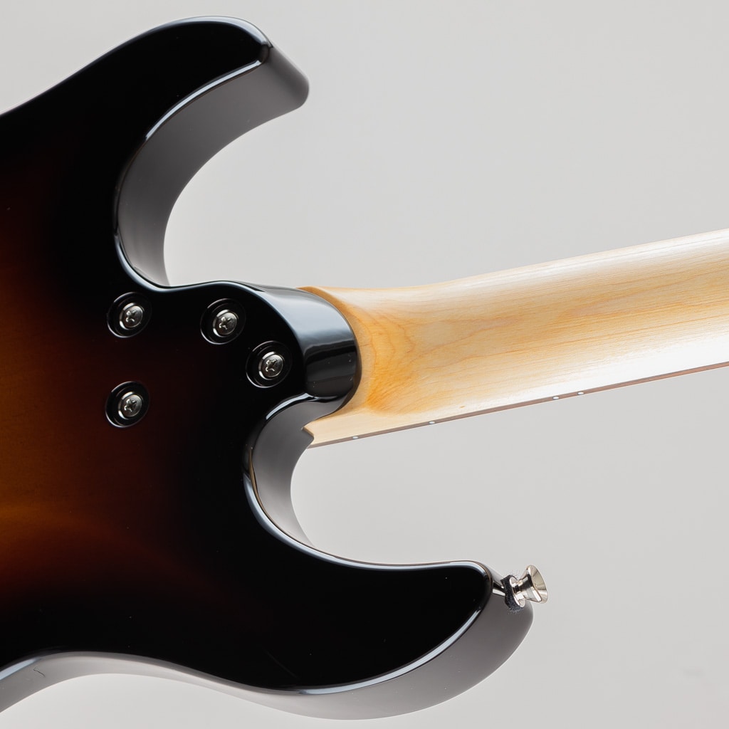 Pacifica Professional PACP12 / Desert Burst