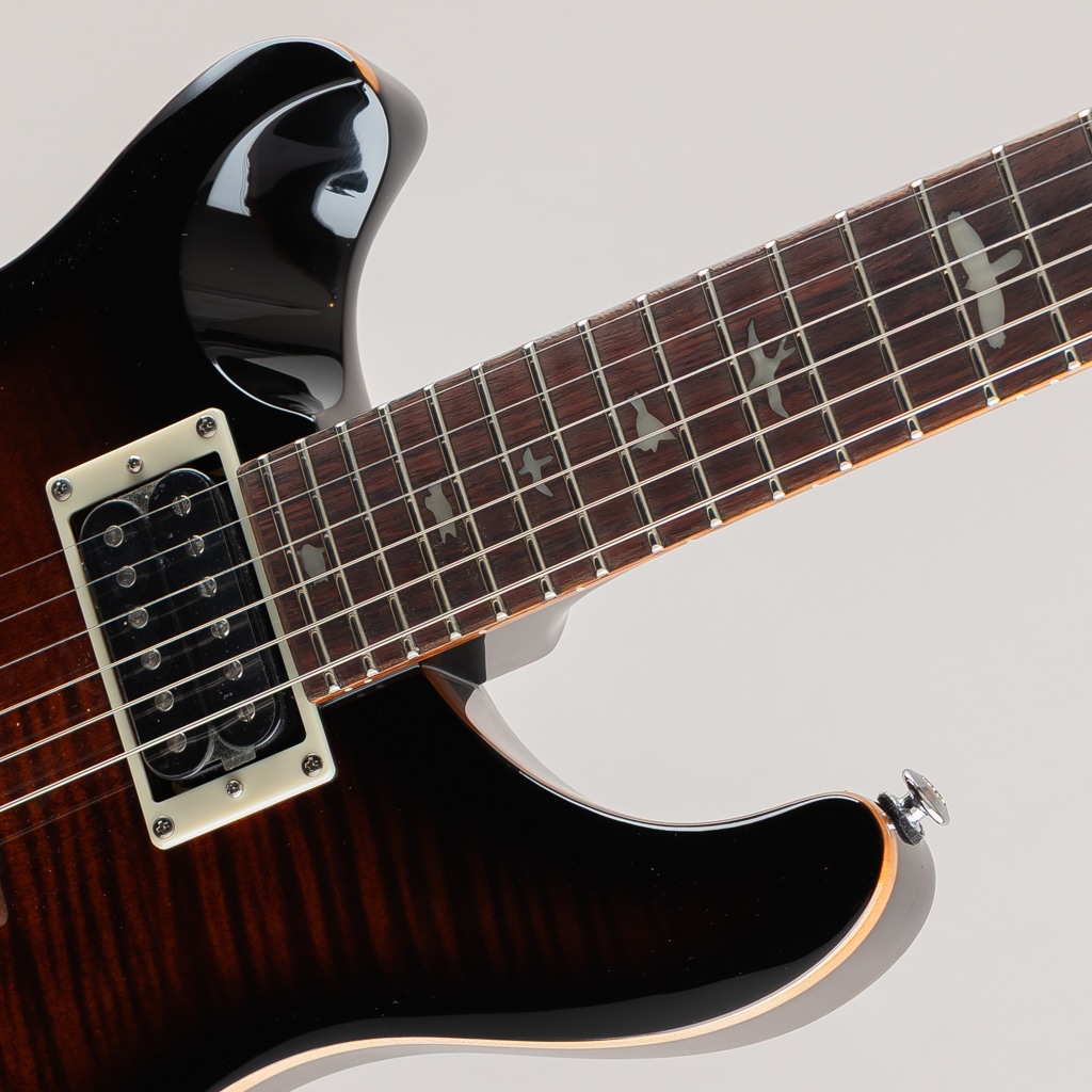 SE Custom 24 Lefty /Black Gold Sunburst【2024】: エレキギター