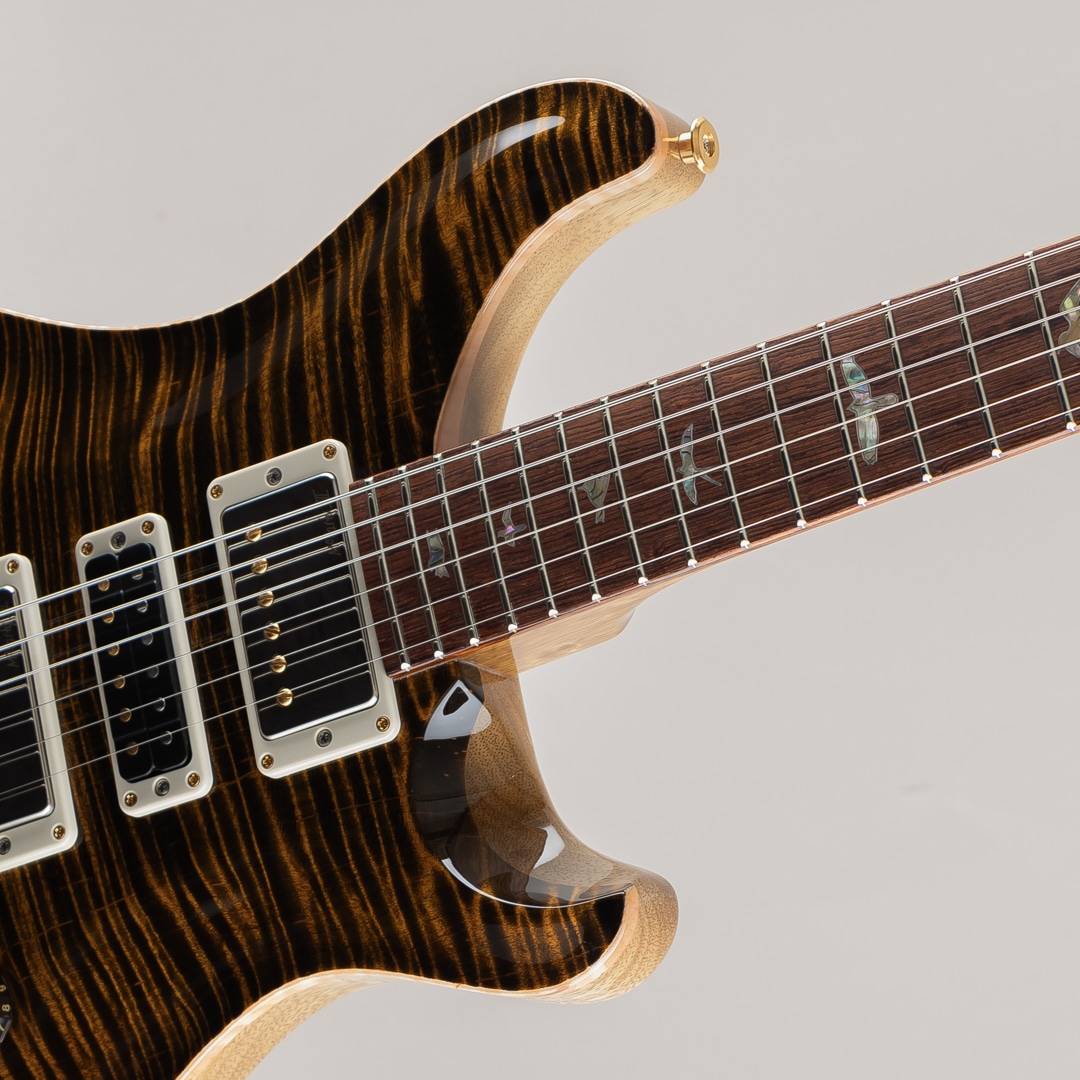 40th Aniversary Special Semi-Hollow Limited Edition Yellow Tiger 2025