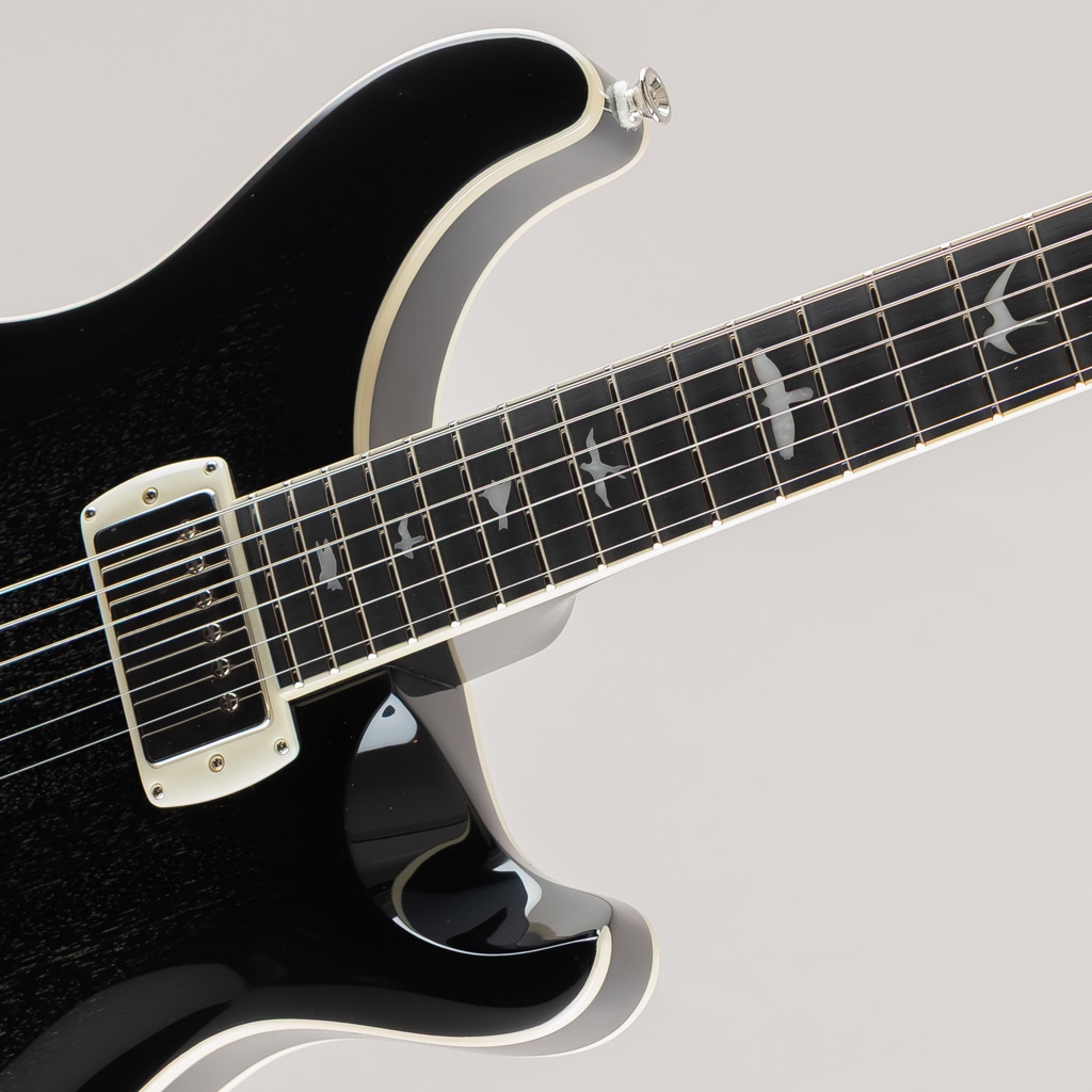 SE Hollowbody Standard/Dog Hair Smokeburst【2025】