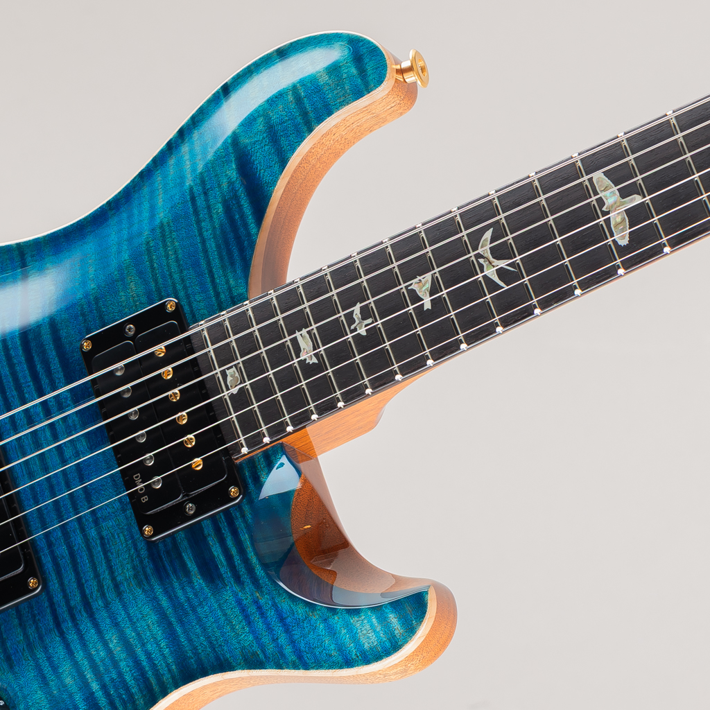 Custom24 10Top "DMO" Pickups Artic Blue 2025