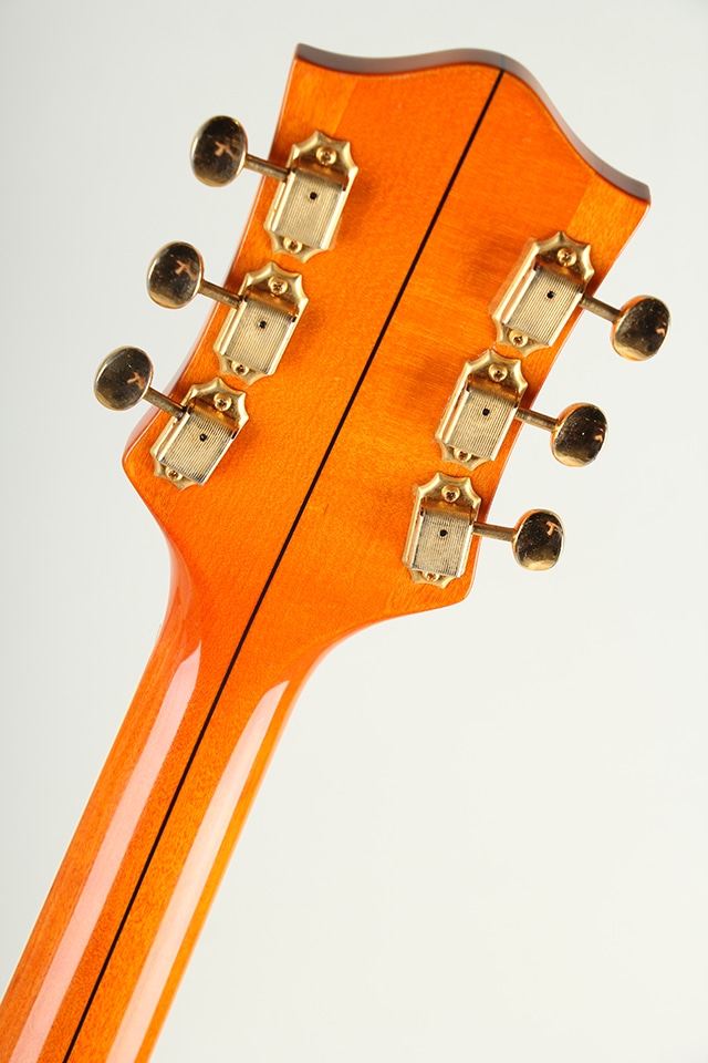 G6120-1955 1996