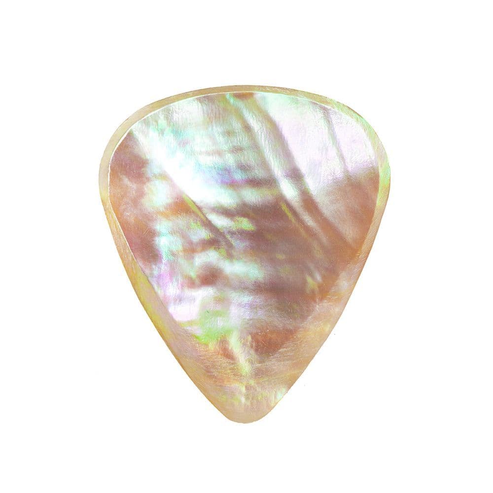 Greenlip Abalone (1枚入り)