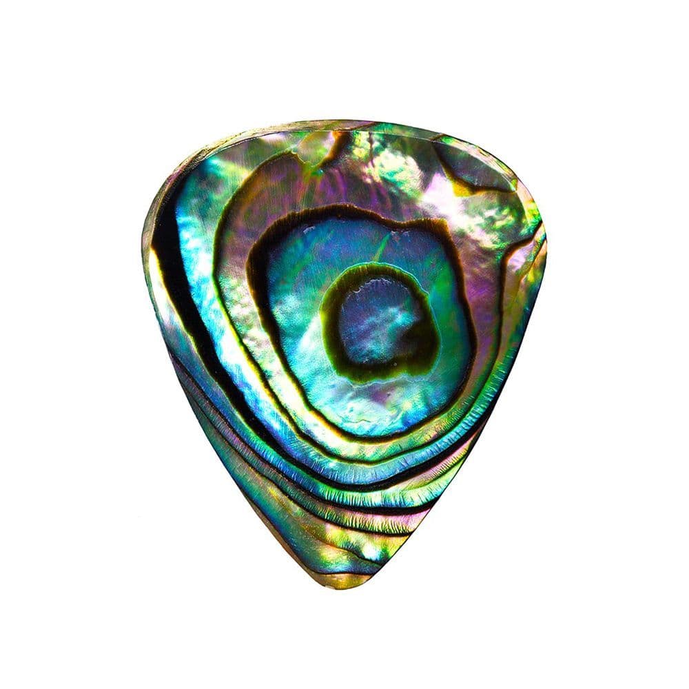 Green Abalone (1枚入り)