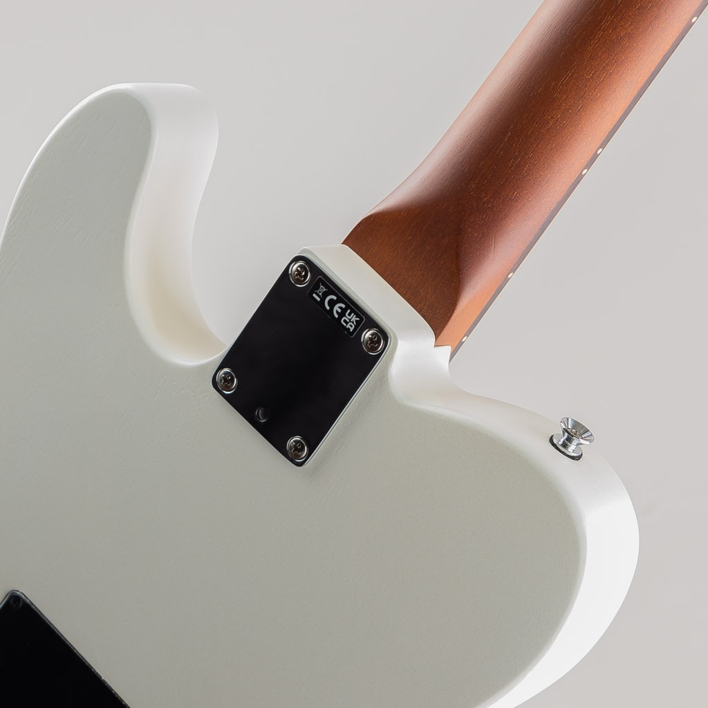 Acoustasonic Standard Telecaster /Arctic Gold Arctic Gold アメリカ村店