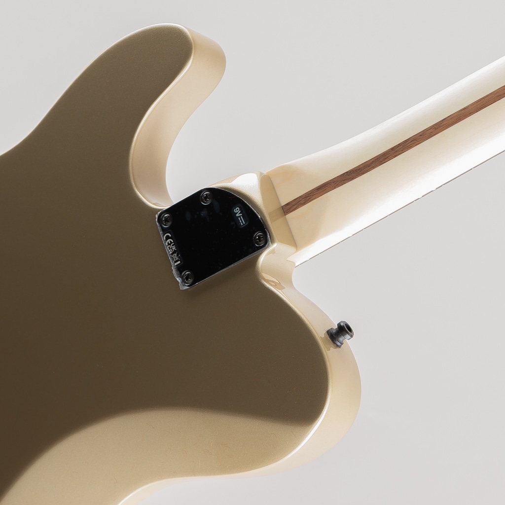 Limited Edition Jim Root Telecaster, Ebony Fingerboard, Shoreline Gold