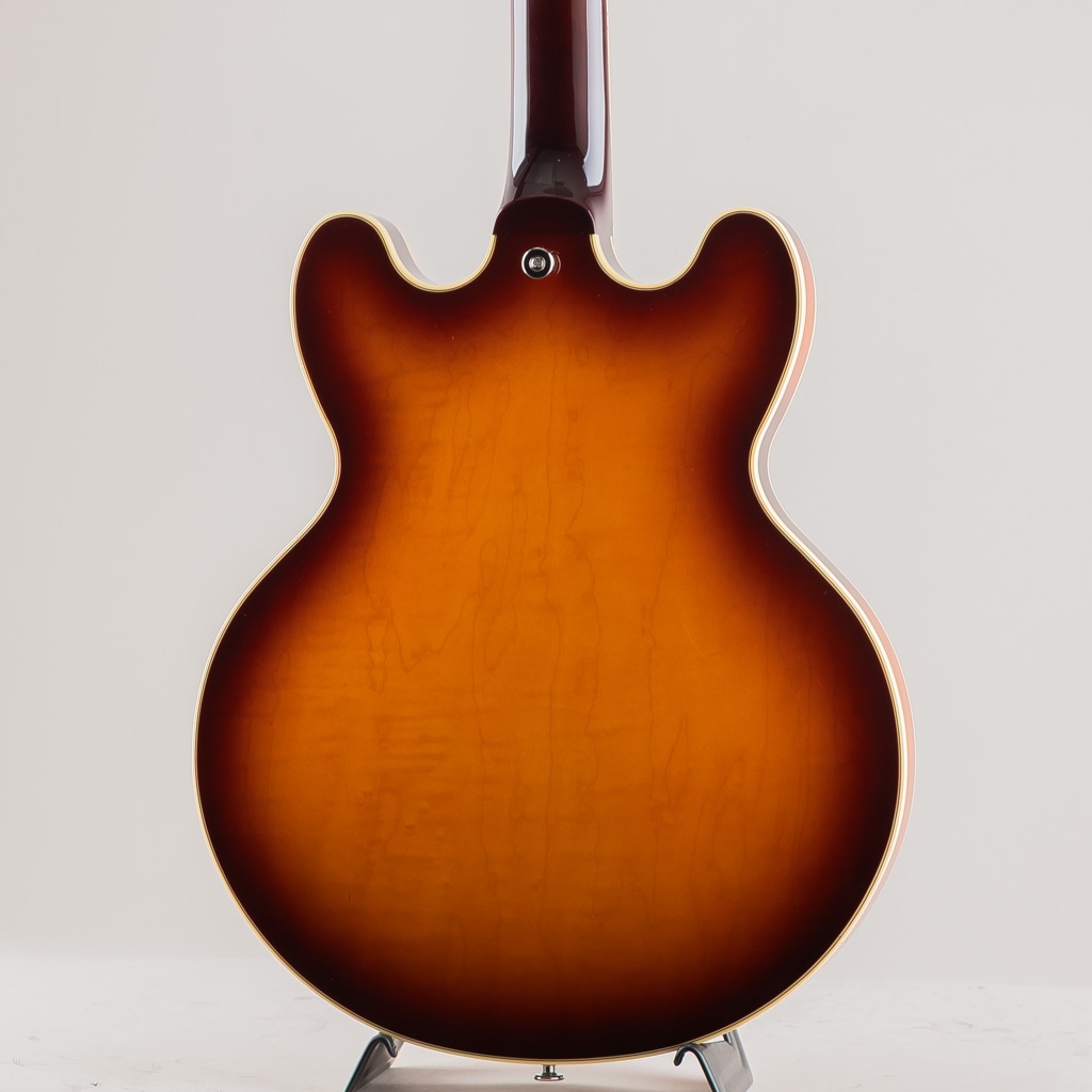 MSA-SP / Antique Sunburst