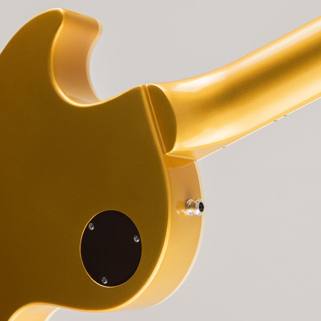 Tak Matsumoto 1955 Les Paul Standard/Antique Gold