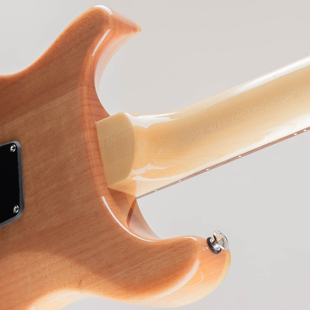 SE Custom 24-08/Turquoise【2024】