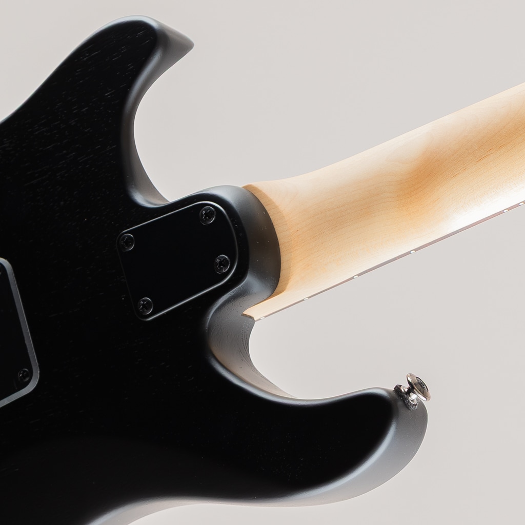 SE Swamp Ash CE 24 Sandblasted Limited / Sandblasted Blue 【2024】