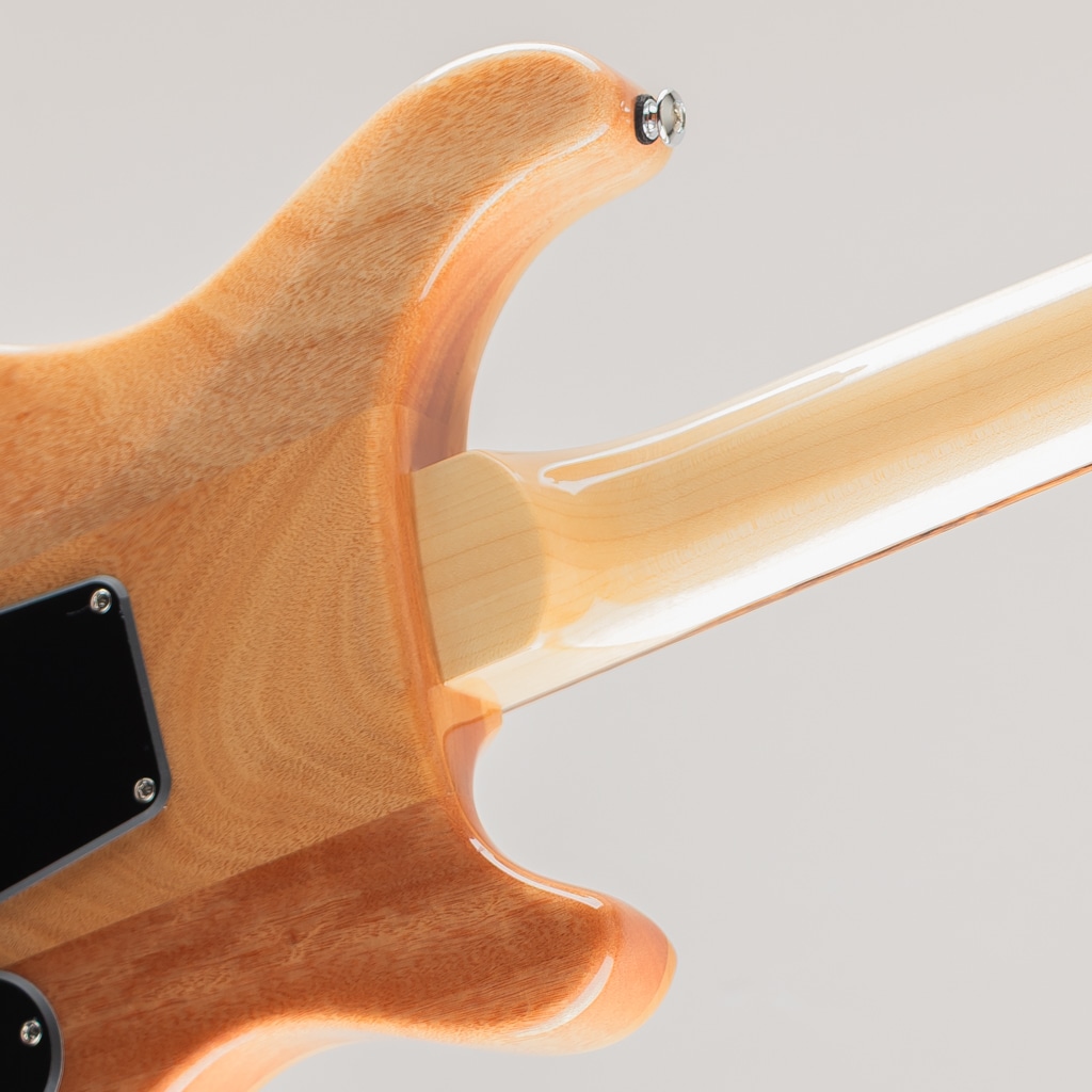 SE Lefty Custom 24/Slate Blue【2025】