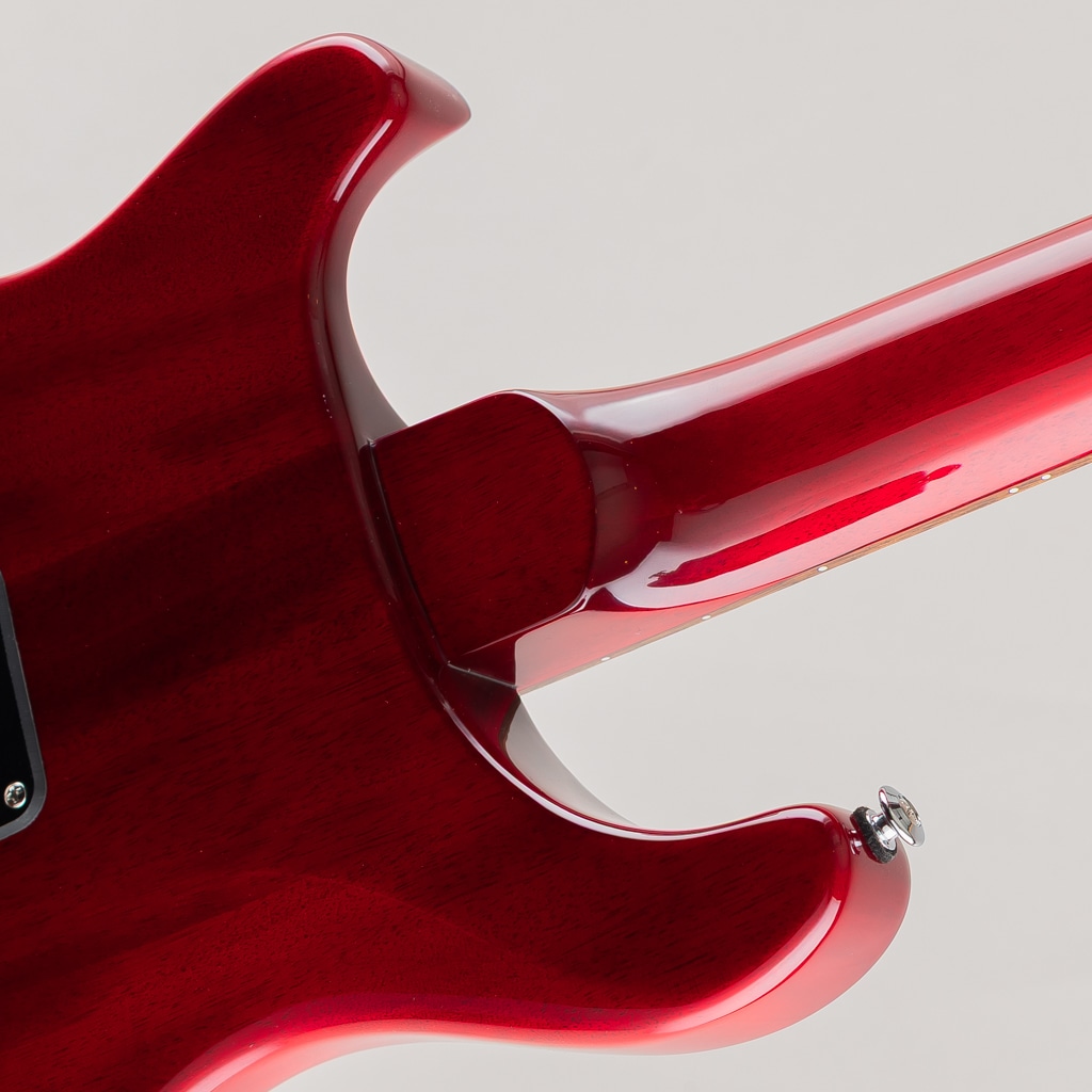 SE DGT Standard/Vintage Cherry【2025】