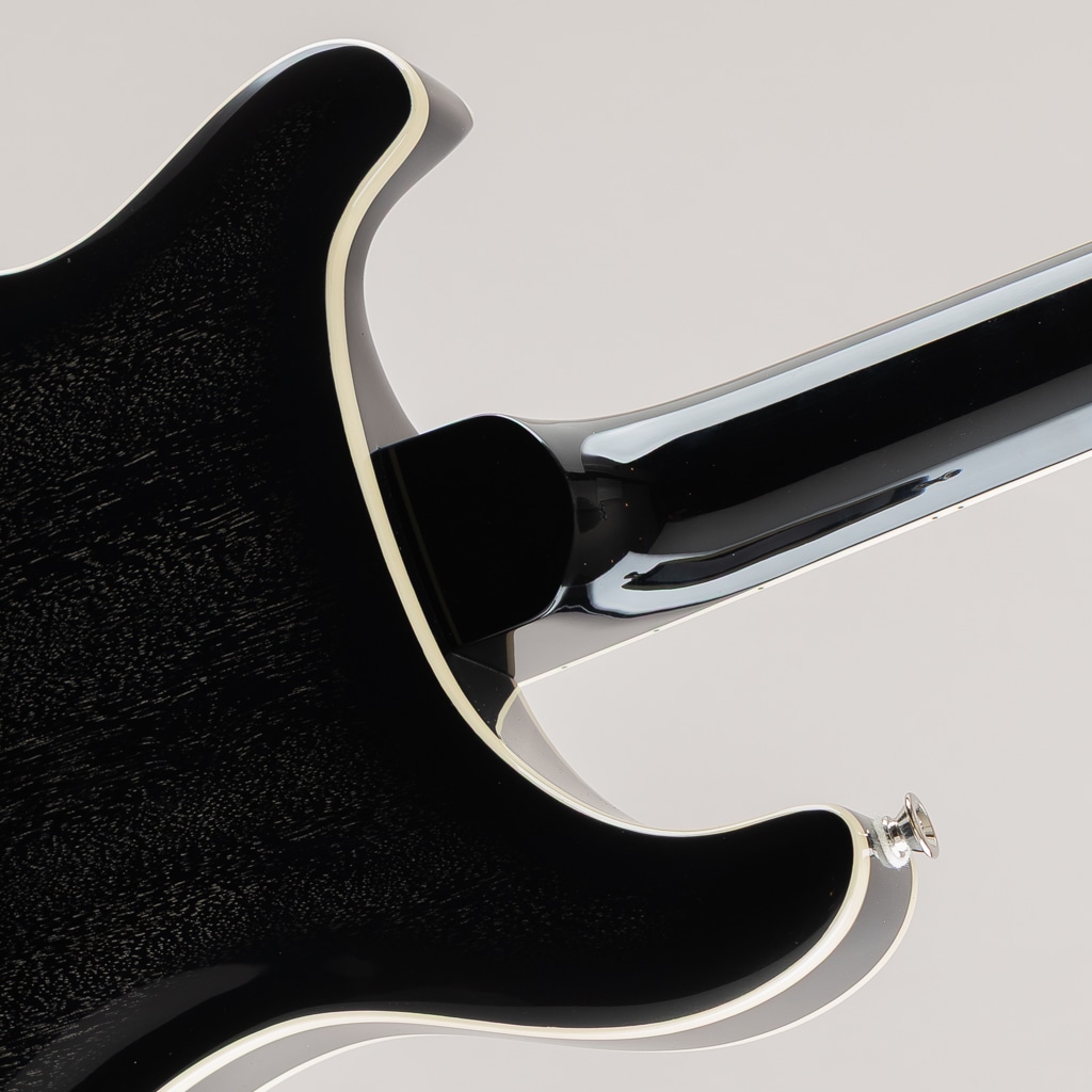 SE Hollowbody Standard/Dog Hair Smokeburst【2025】