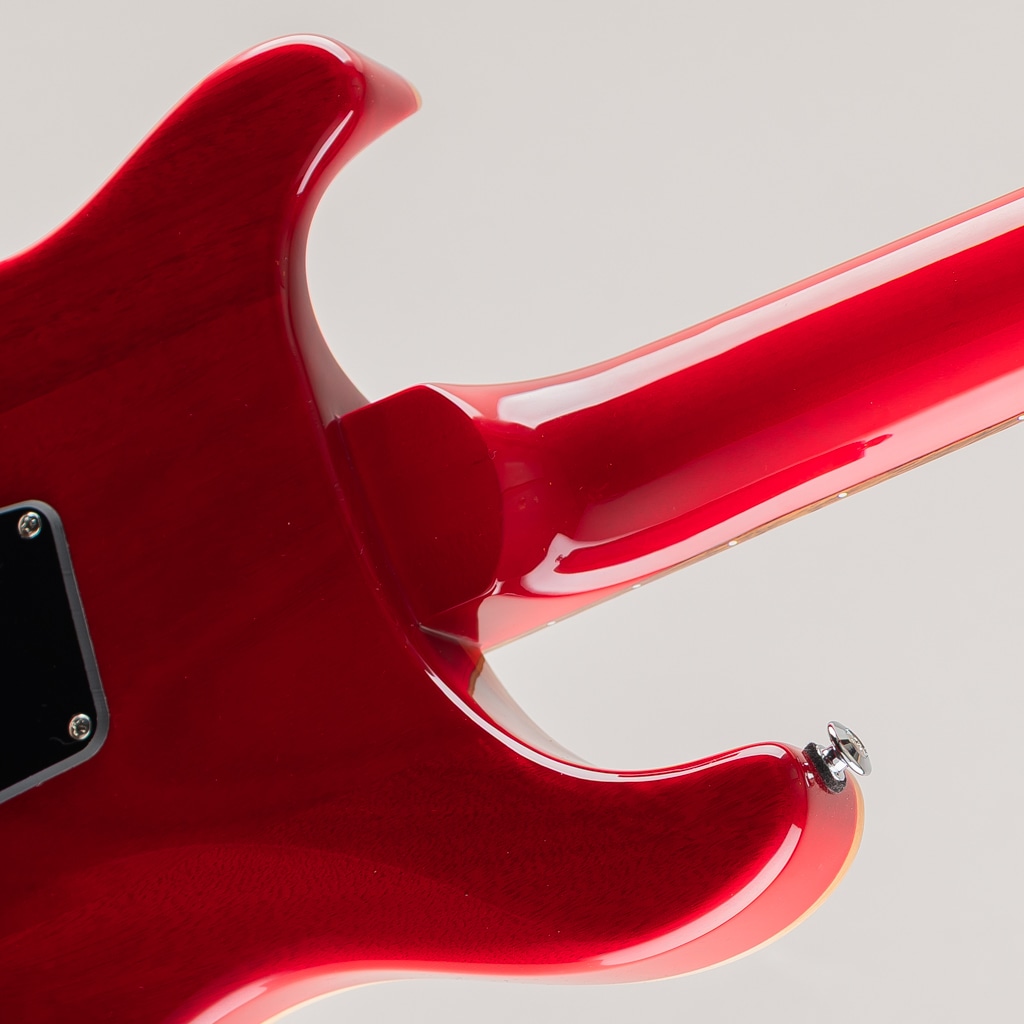 SE Custom 24 /Ruby【2025】