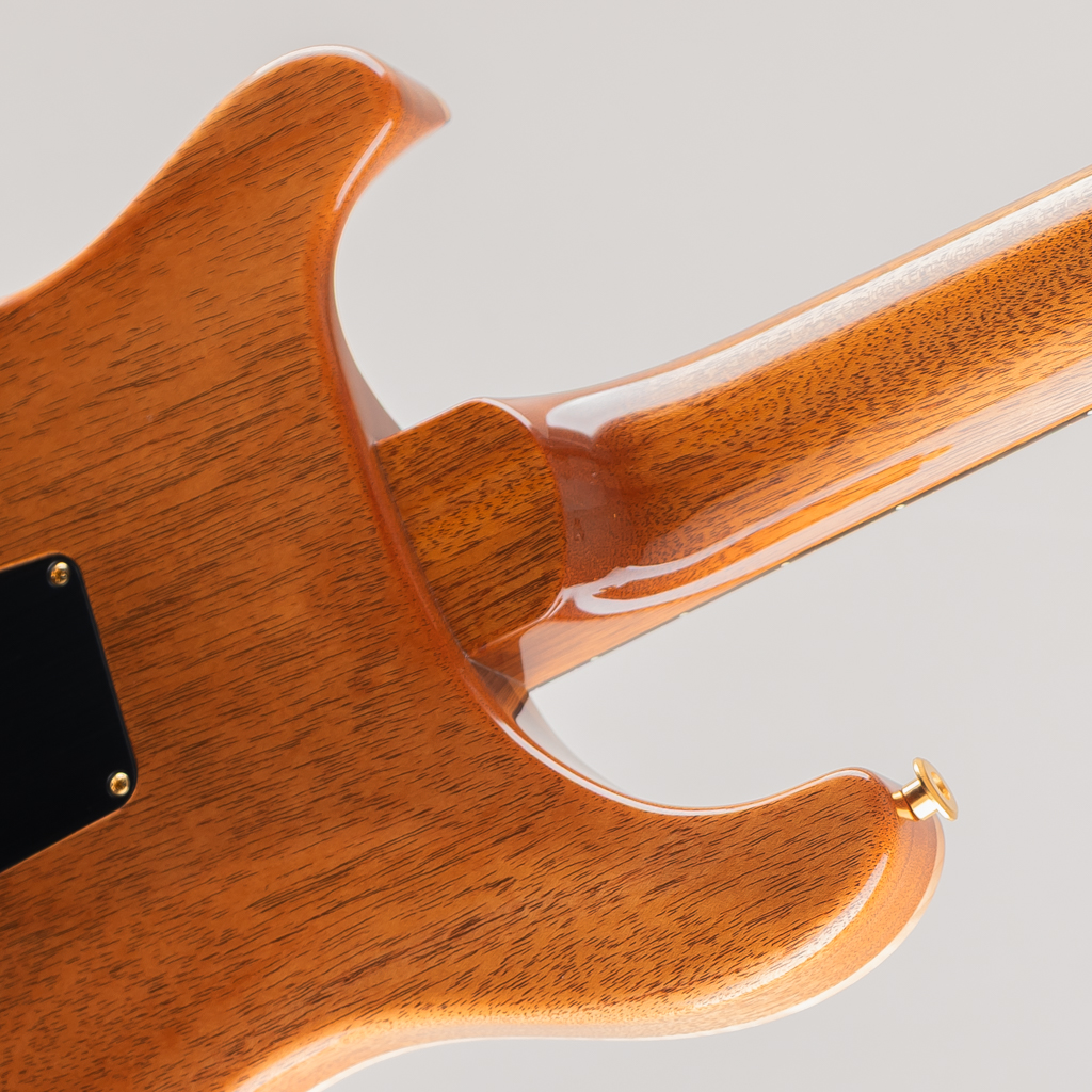 Custom24 10Top "DMO" Pickups Artic Blue 2025