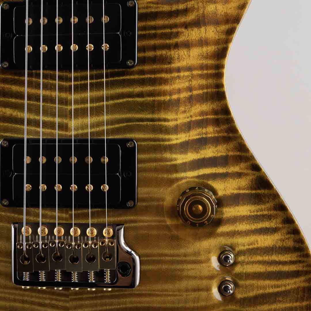 Private Stock # 11978 Custom 24 "Paul's Stash Maple Top" Dirty Blonde Glow 2025