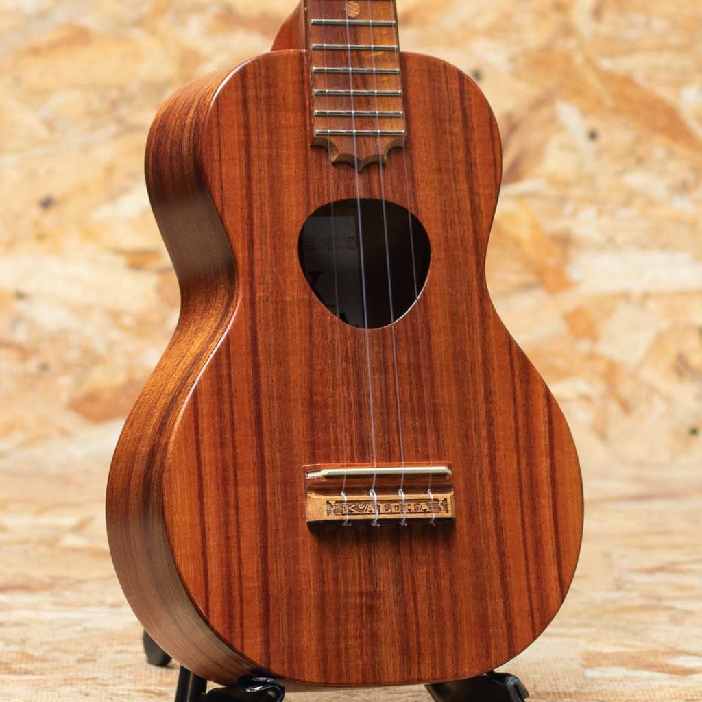 KCM-10 Pikake Concert 2014