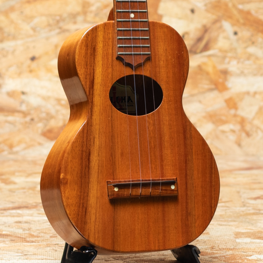 KCM-00 Oval Hole Concert 2000