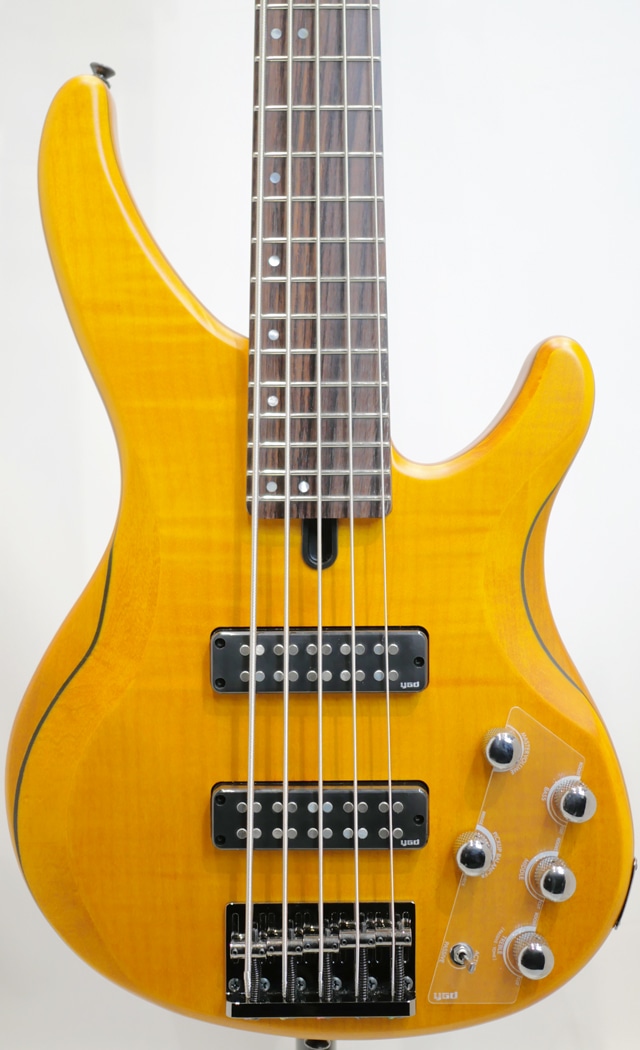 TRBX605FM (MAM) MAM BASS SIDE