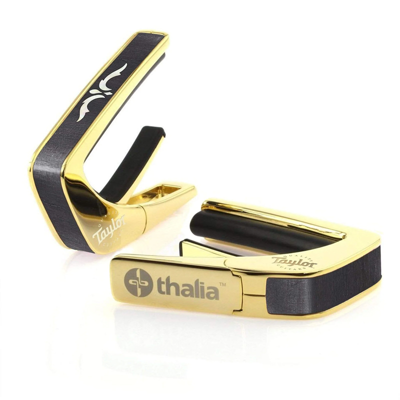 タリア カポ テイラー ライセンスド・モデル Thalia Capos TAYLOR 900 SERIES ASCENSION / 24K Gold / ギター 15インチフレットパッド付属