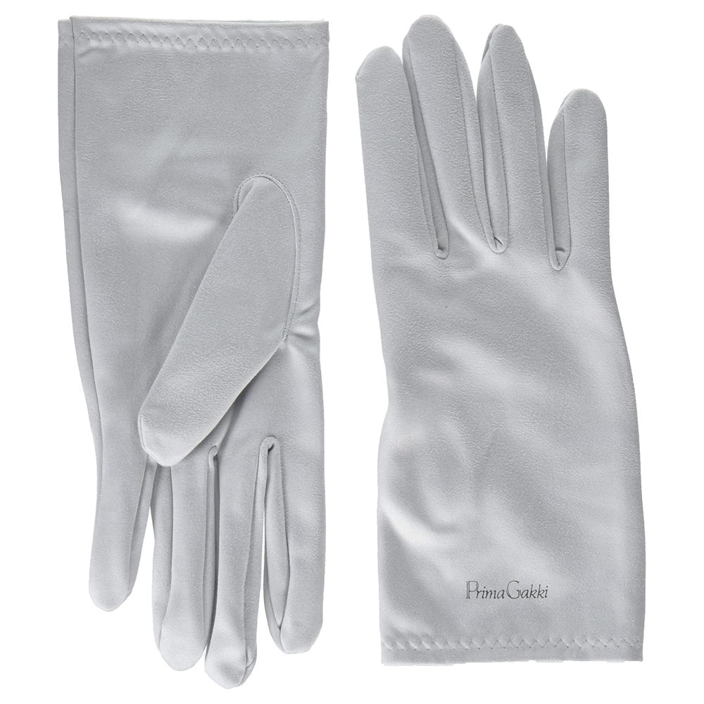 プリマ ミクロディアFSY グローブ型クリーナークロス Lサイズ シルバーグレー 【ゆうパケット】※日時指定非対応・郵便受けにお届け致します