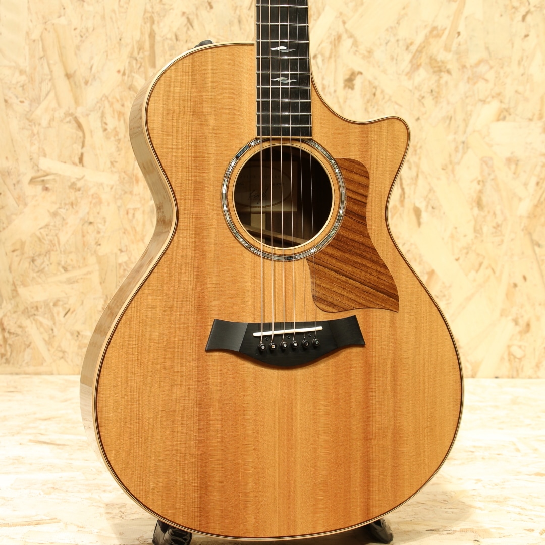 TAYLOR（テイラー）Acoustic guitar 一覧 | 三木楽器公式通販サイト