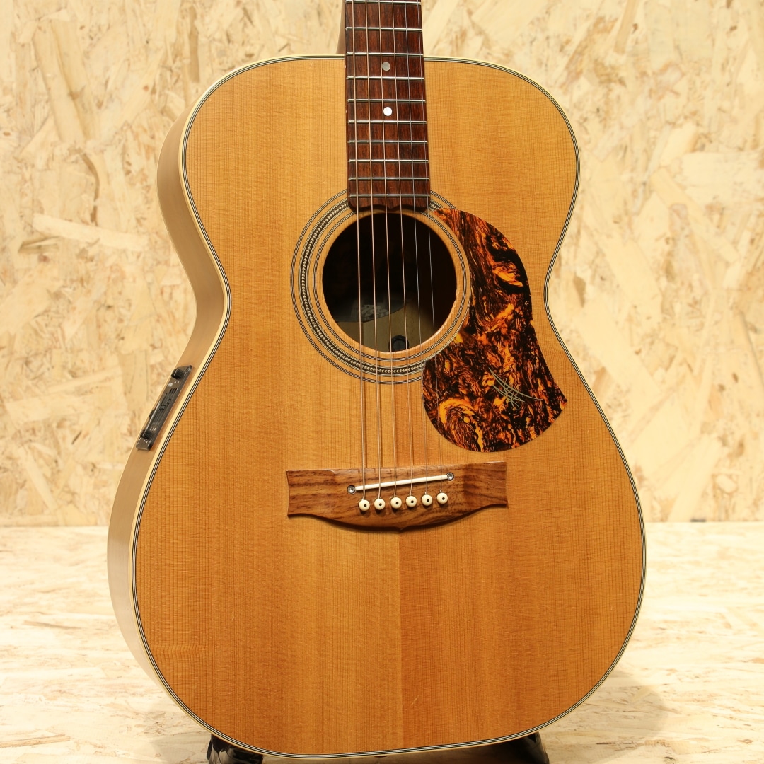 EBG808TE Tommy Emmanuel Signature 2010's