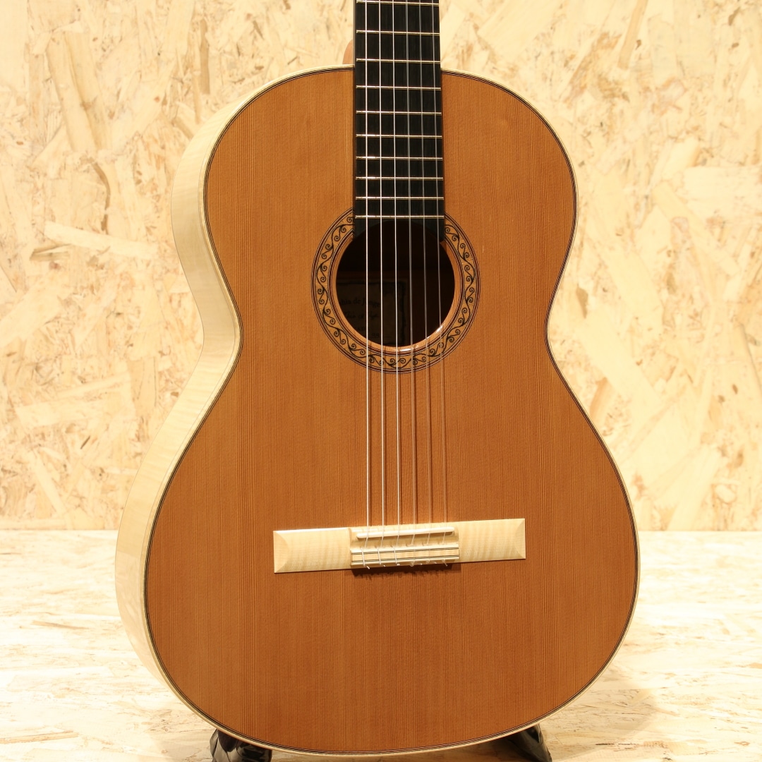 Classical Cedar Maple 650mm 2020