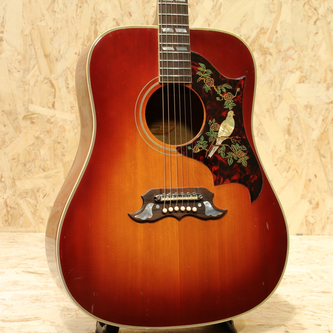 DOVE Dark Cherry Burst 1963