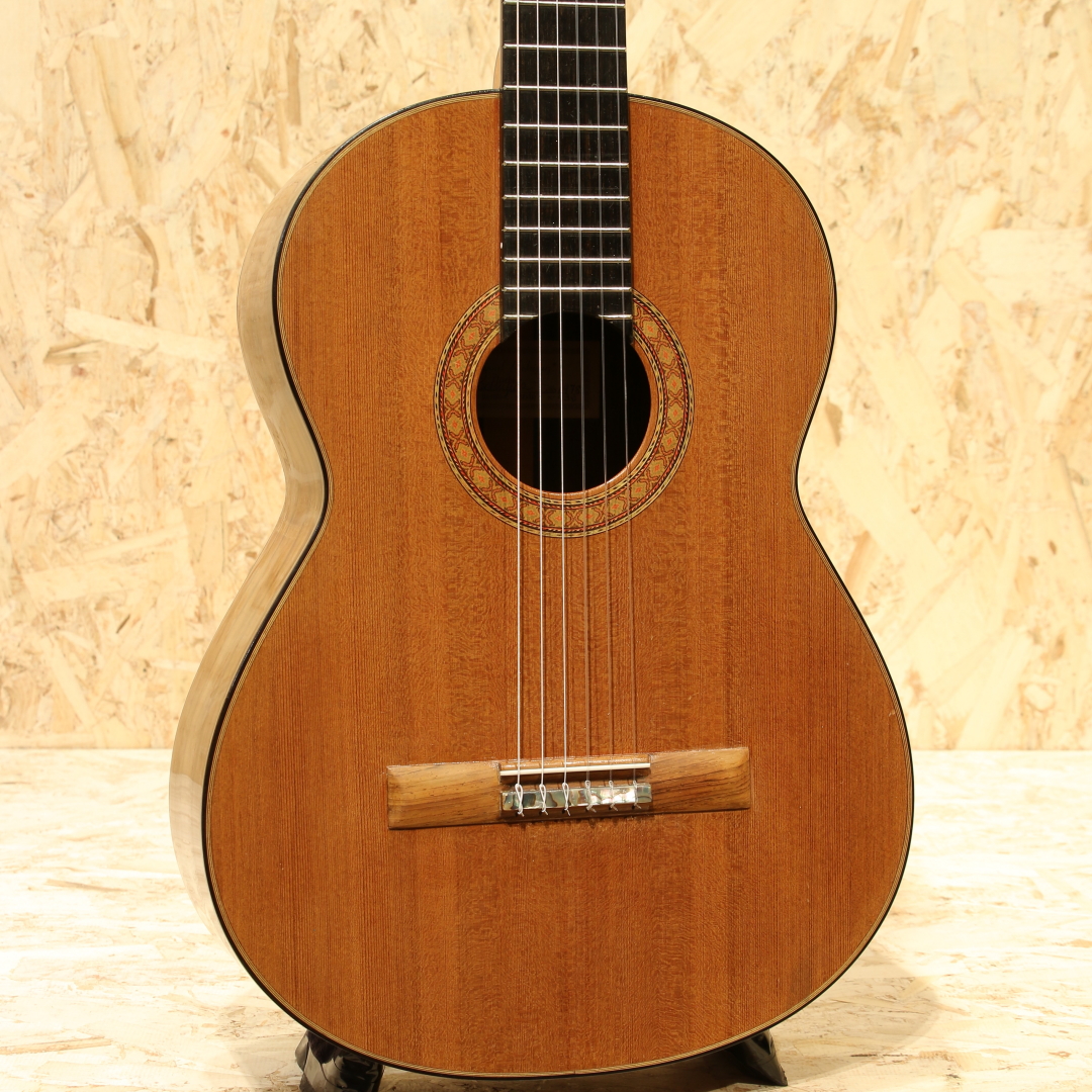 Cedar/Jacaranda 660mm 1978