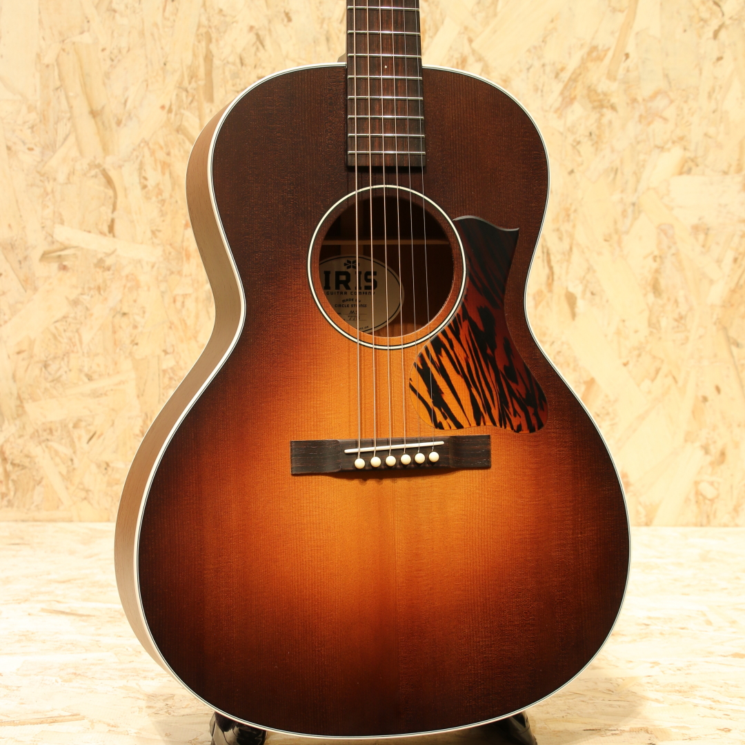 MS-00 Model Tobacco Burst 2020's