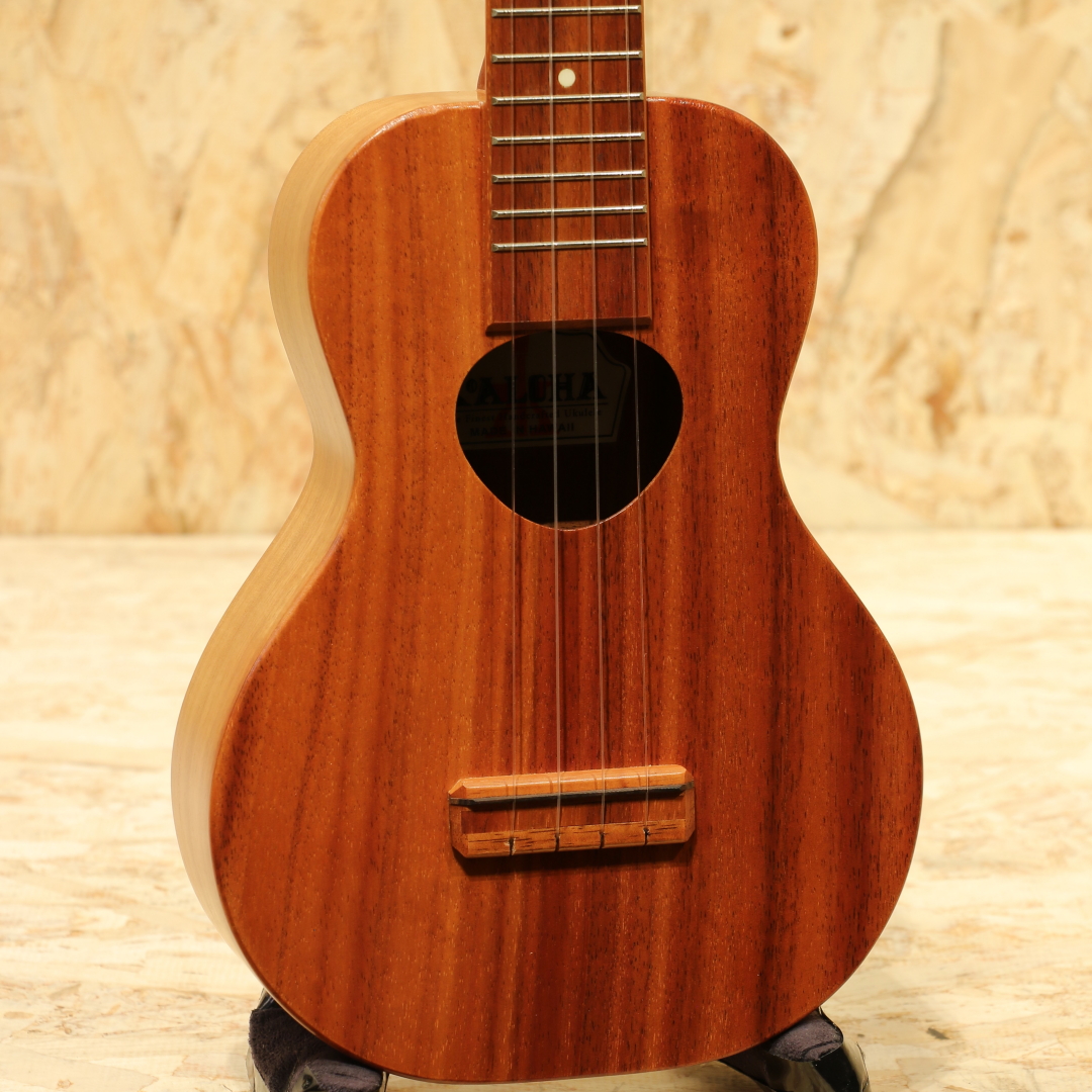 KCM-10 Concert 2005