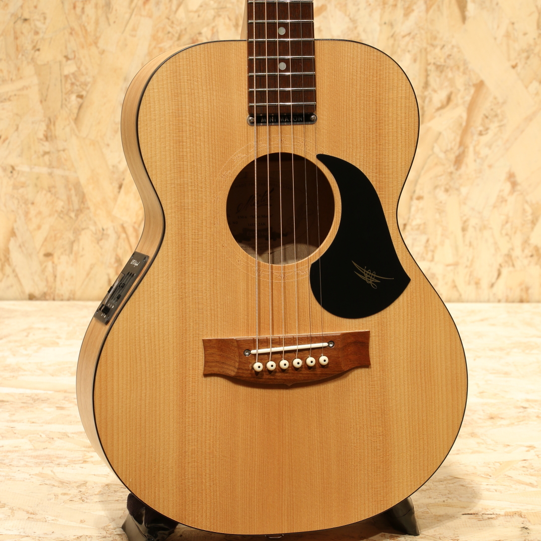 EM-6 "Mini Maton" 2010's