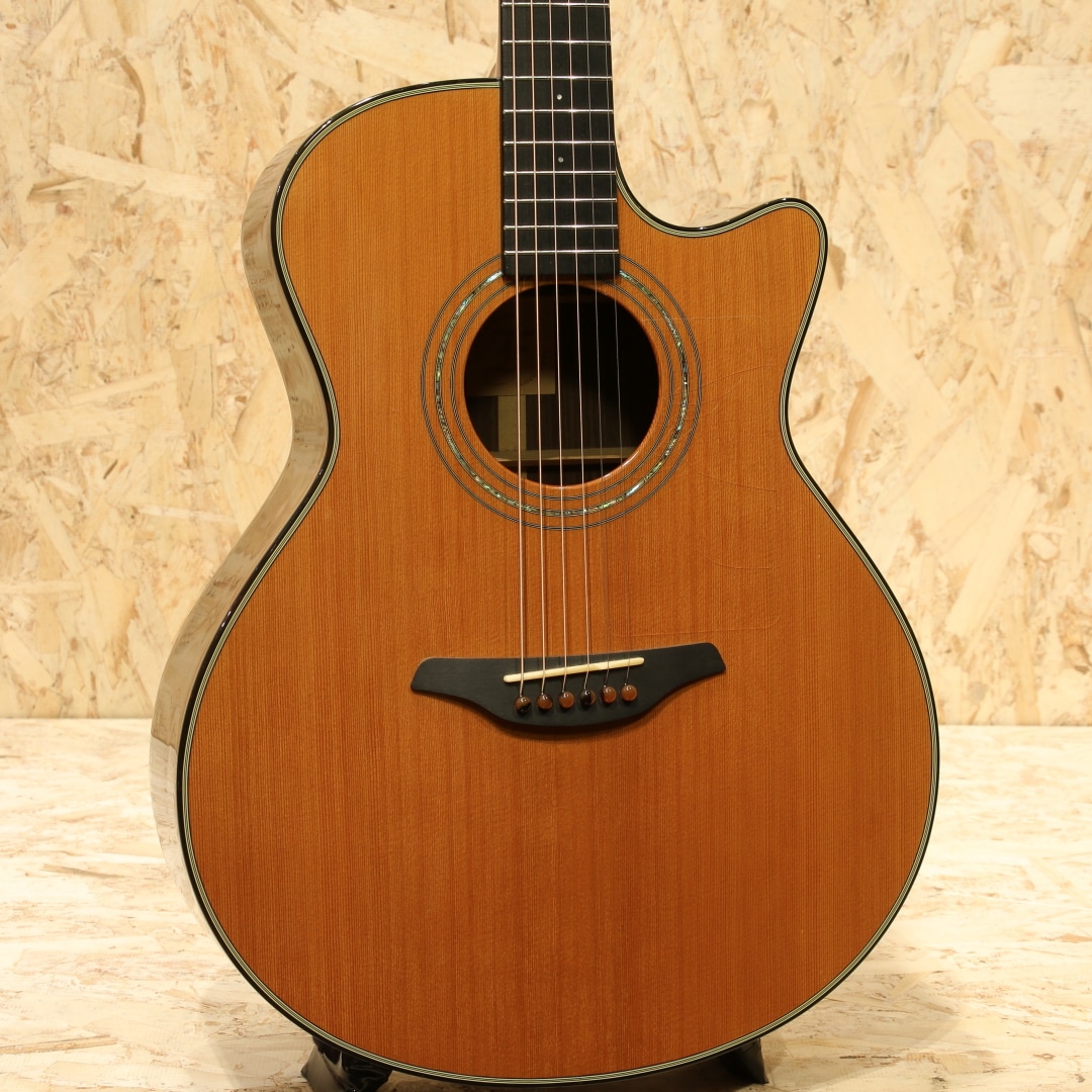 G23-CRCT 2009