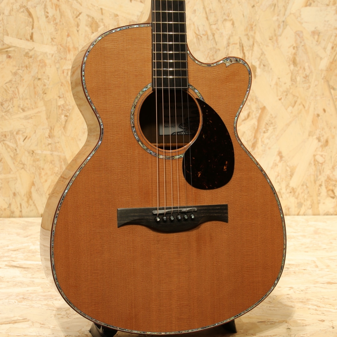 Nakagawa Isato Model -30th Anniversary-
