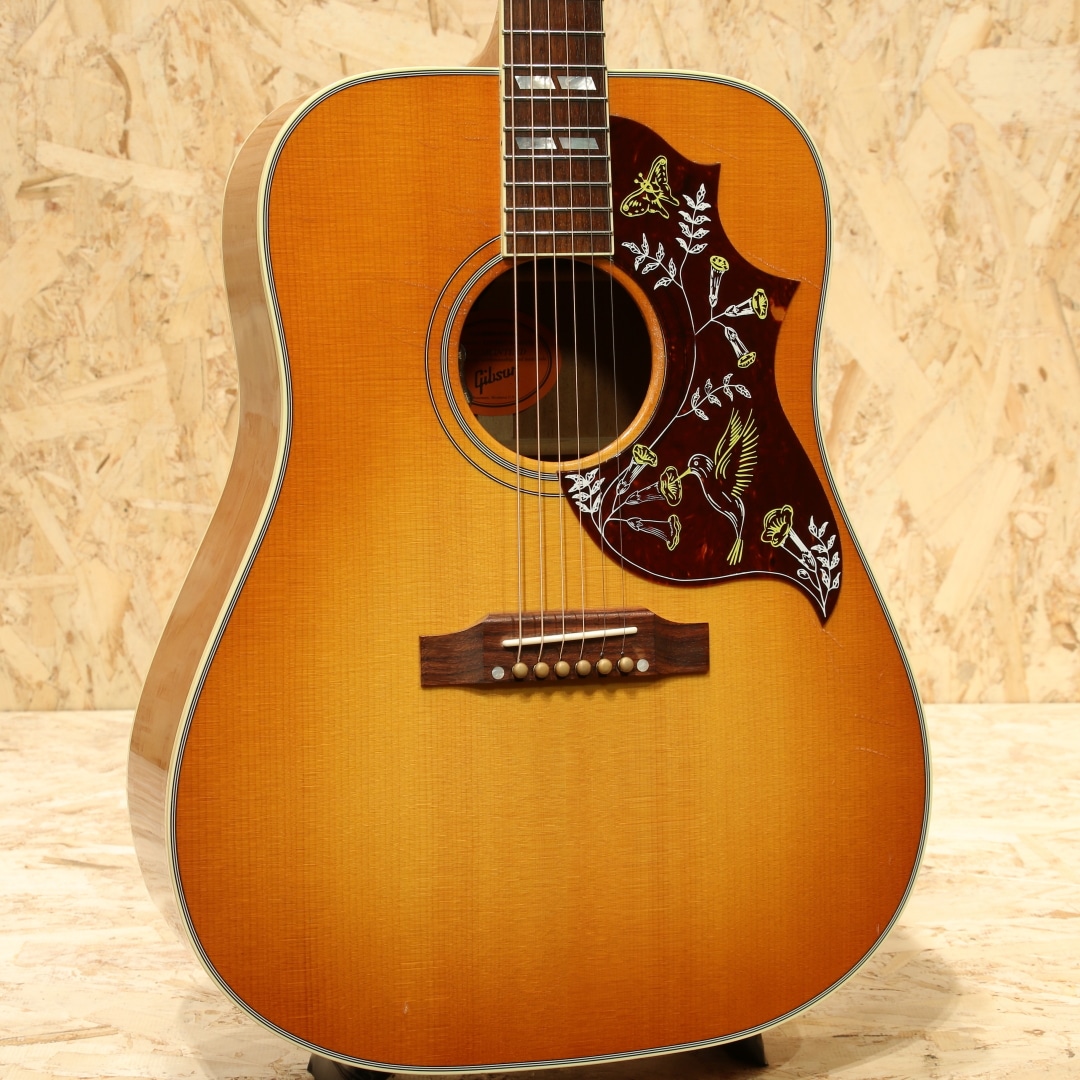 Hummingbird Original HCS　2022