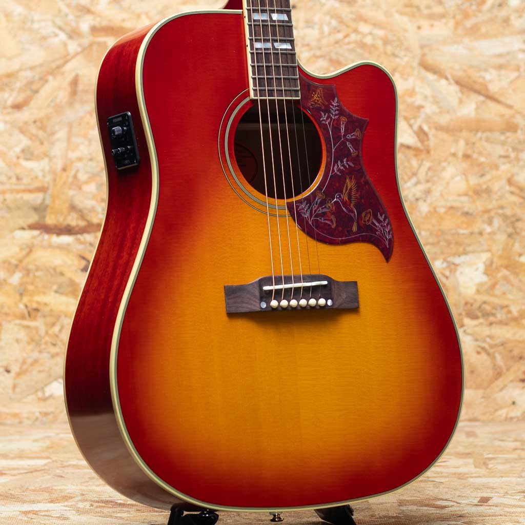 Inspired by Gibson Hummingbird Standard EC CS