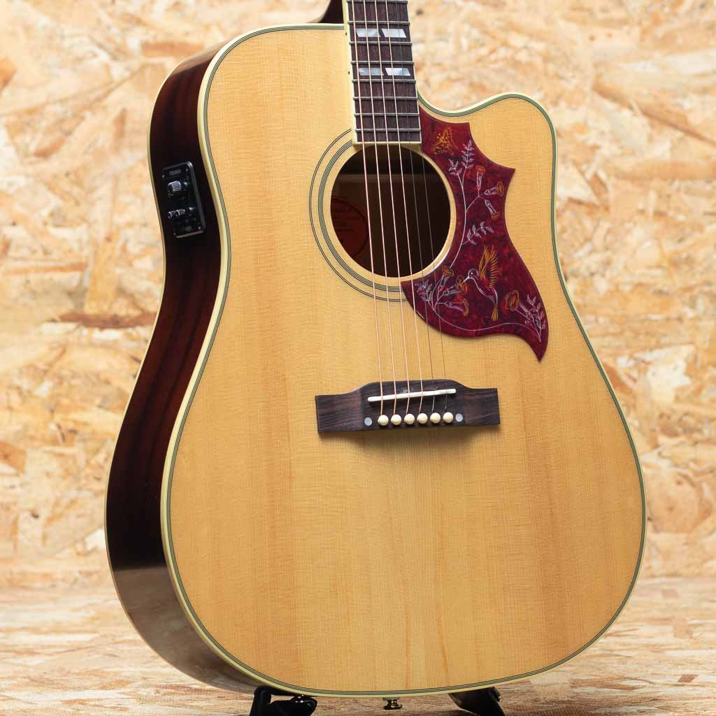 Inspired by Gibson Hummingbird Standard EC Nat
