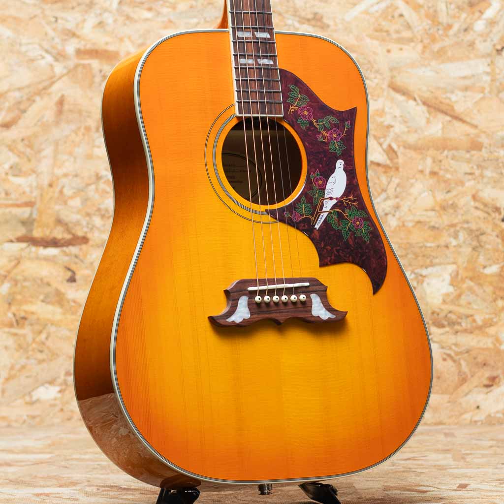 アコースティックギターその他ブランド | 三木楽器公式通販サイト