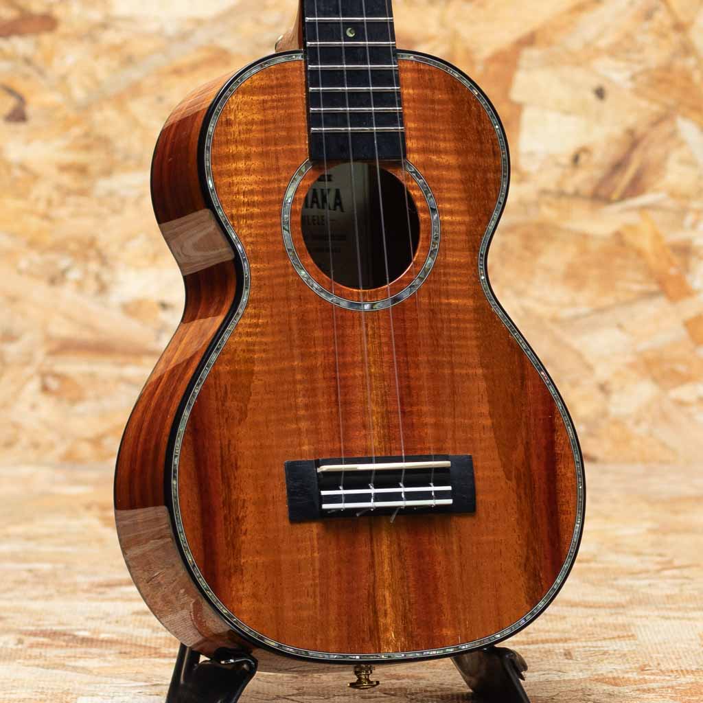 HF-2 D2I Concert 2021