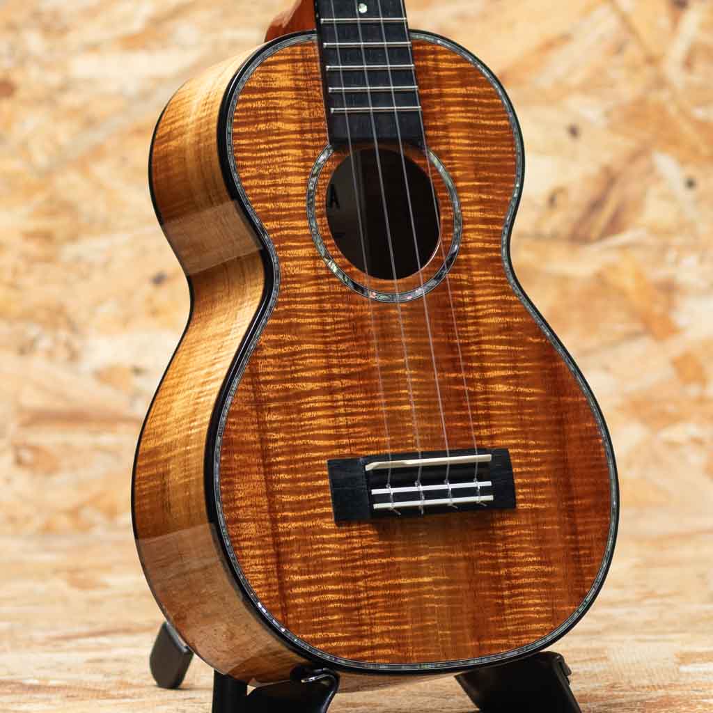 HF-2 D2I Concert 2020