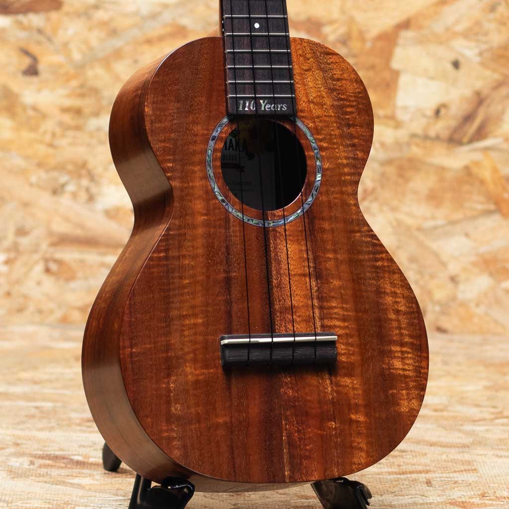 HF-2+ Concert