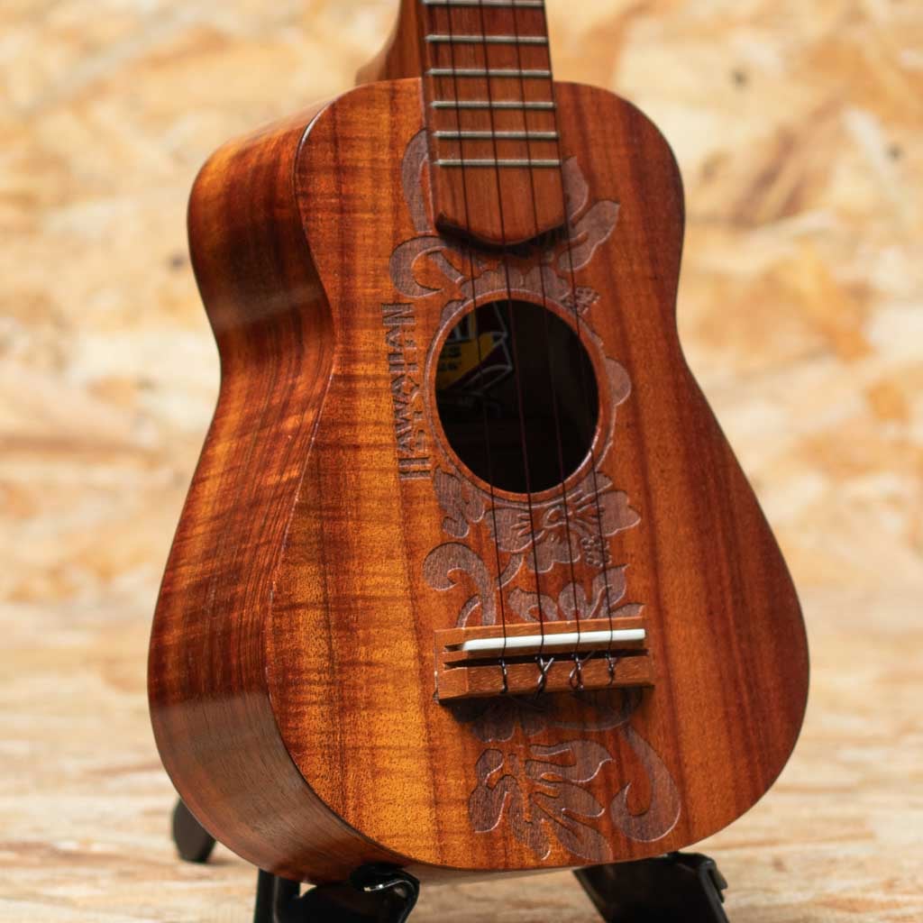 Hawaiian Style Concert 2000's