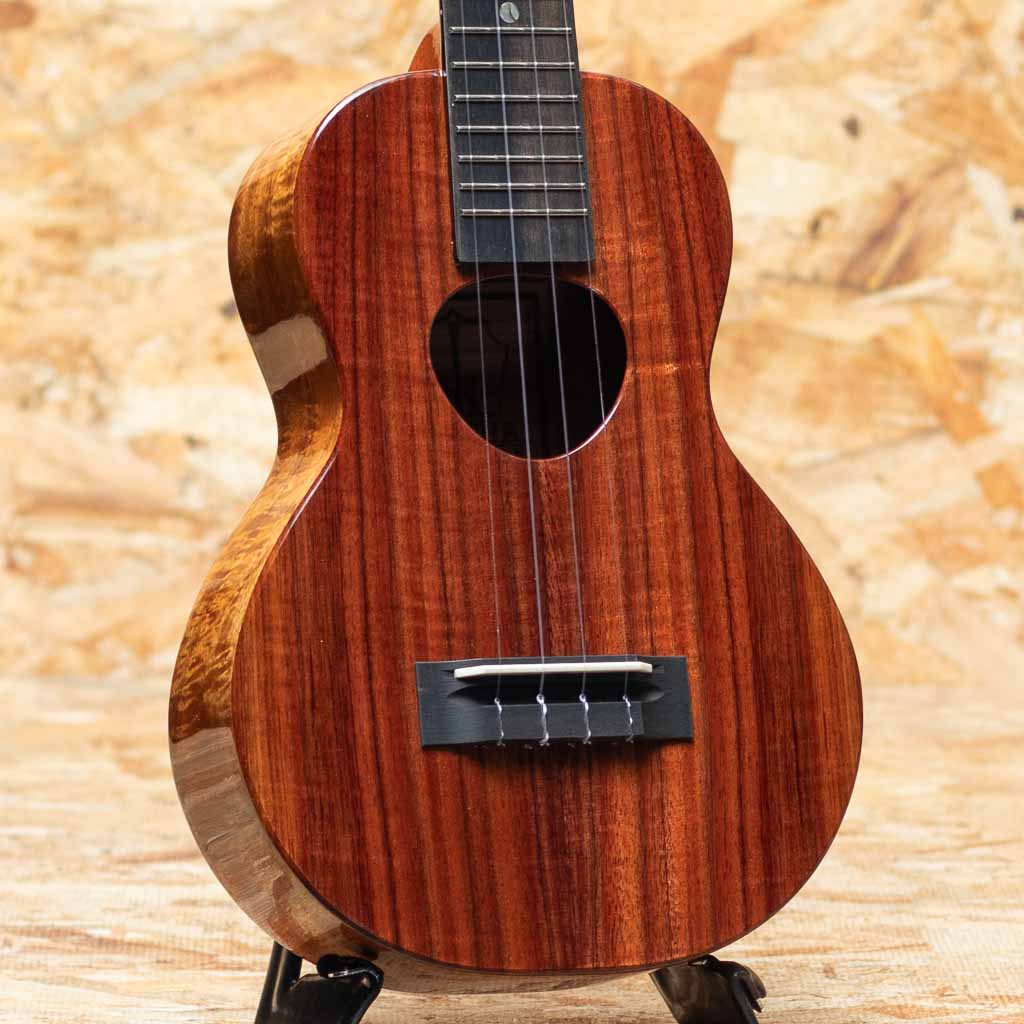 KCM-00 Concert