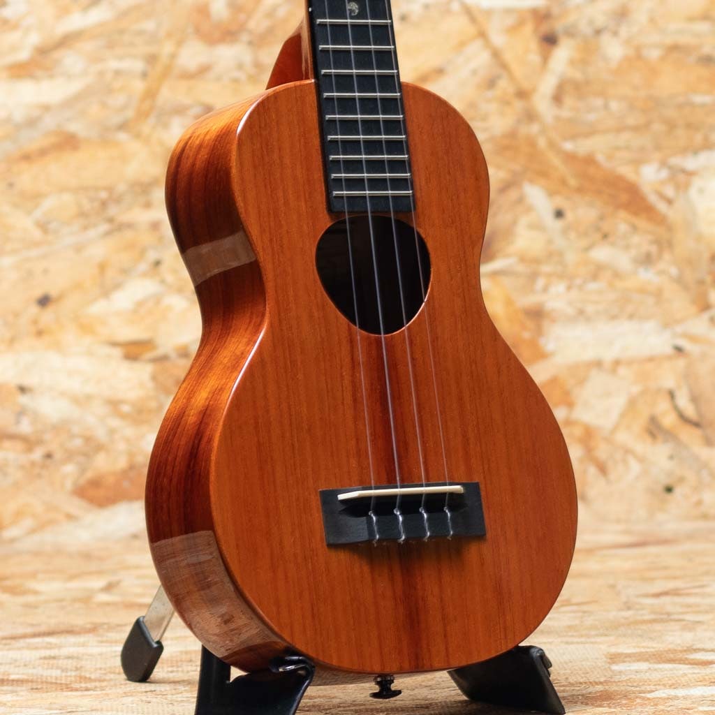 KCM-02 Concert Longneck 2022