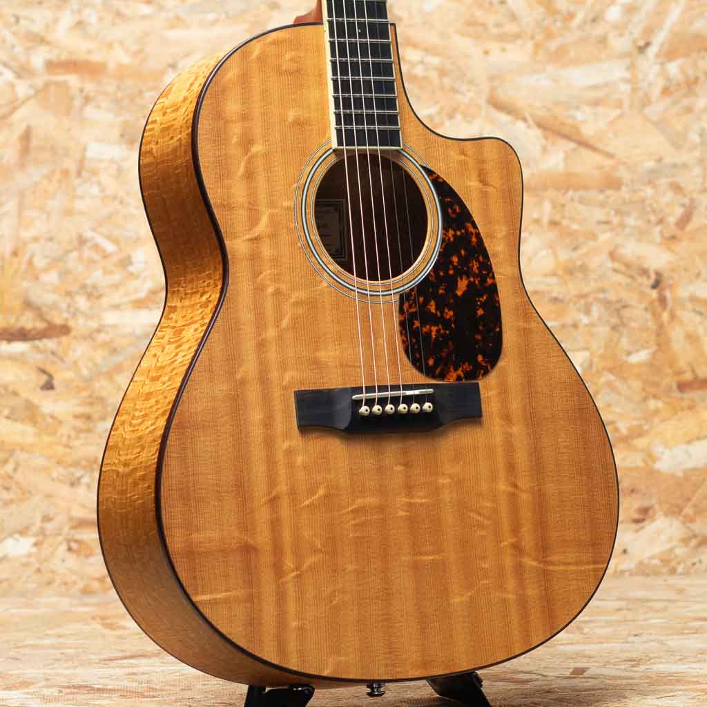 LV-03 Grevillea Robusta 2008