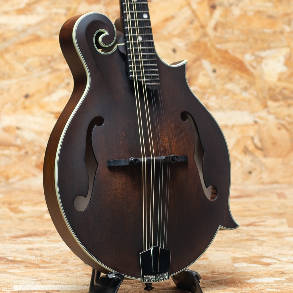 Mandolin（マンドリン）一覧 | | 三木楽器公式通販サイト(並び順：安い順)