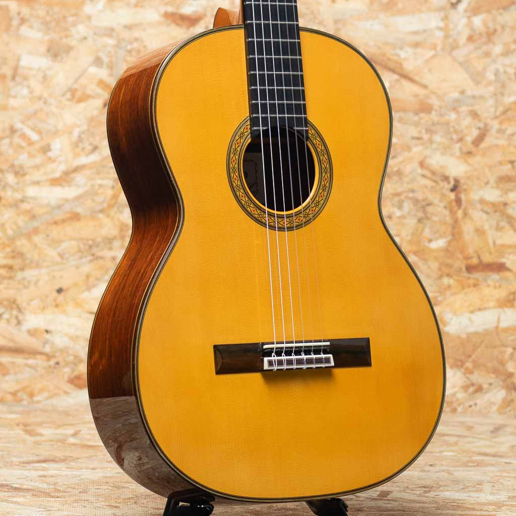 Professional-J 2009